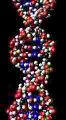 ADN
